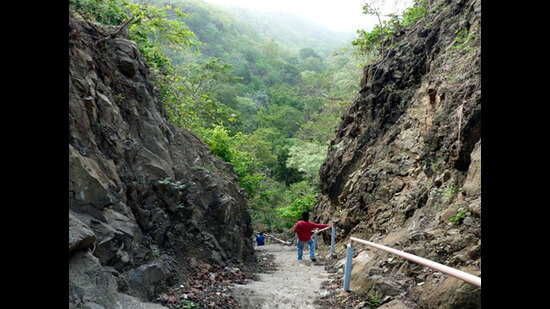 Assam reappoints retd IFS officer embroiled in forest diversion row- JUNGLE TAK