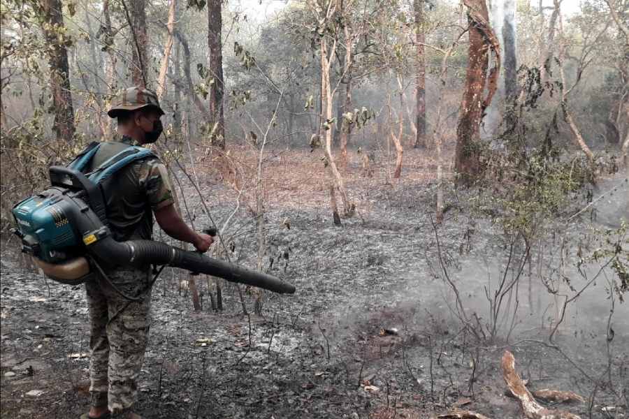 Fires in forests, smoke engulfs Siliguri: Dry foliage triggers blaze, flames break out in Longview tea garden also- JUNGLE TAK