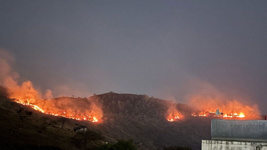 Alarming rise in forest fires in Pune: Over 1,000 cases in first 2 months of 2025- JUNGLE TAK