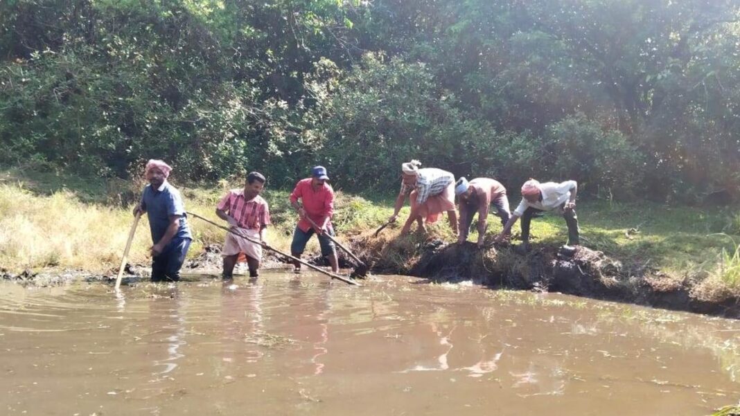 Forest department will ensure food and water availability to animals inside forests- JUNGLE TAK