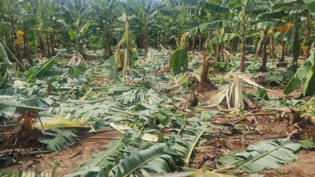 Coimbatore Forest Division paid ₹8.44 crore in compensation over three years- JUNGLE TAK