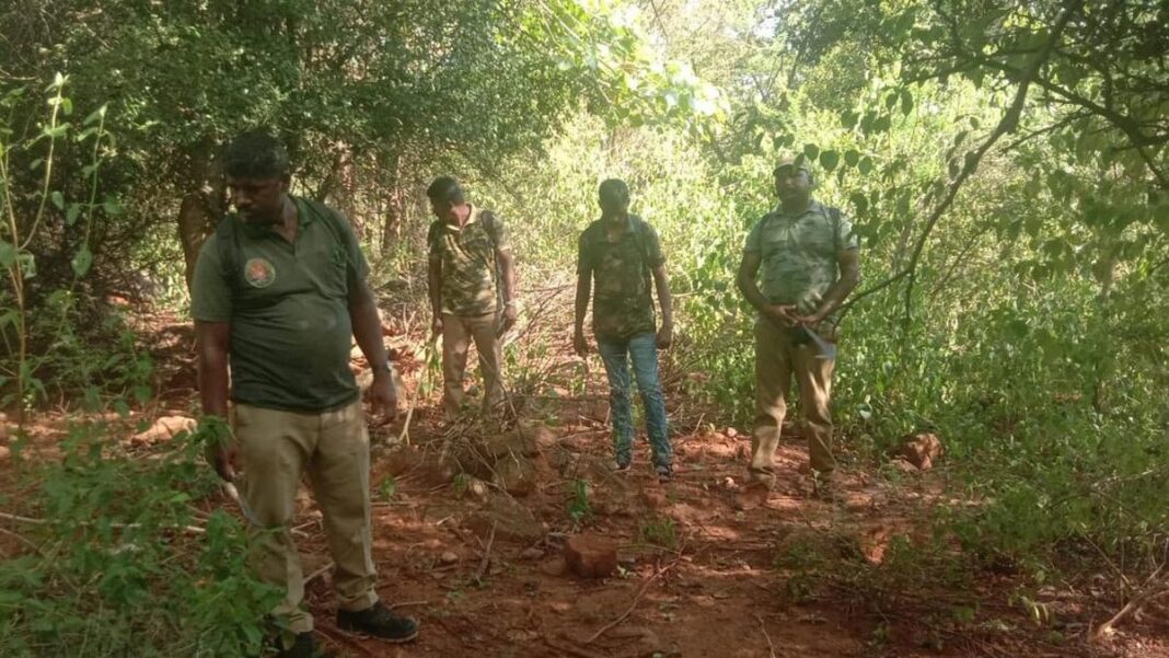 Forest department continues clampdown against inter-State poaching gangs in the Nilgiris- JUNGLE TAK