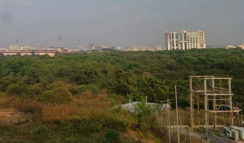 ‘Save City Forest’ demands Telangana Government withdraw auction of ‘Kancha Urban Forest’ in Gachibowli- JUNGLE TAK