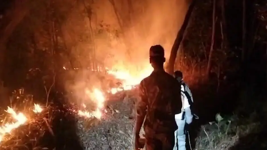 Forest fires ravage Odisha, unchecked flames destroy homes and wildlife- JUNGLE TAK