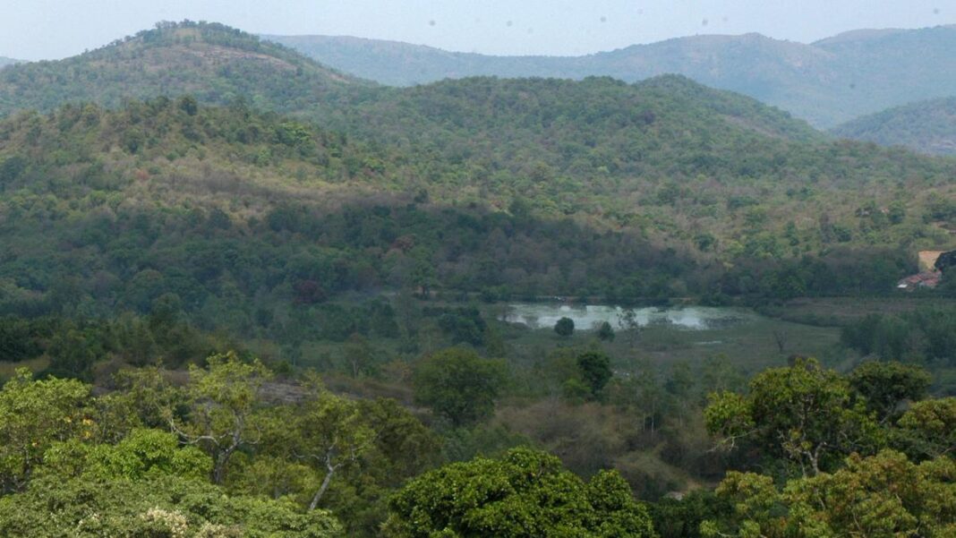 Forest areas encroached in 25 States, Union Territories; MP, Assam worst affected: Government report- JUNGLE TAK