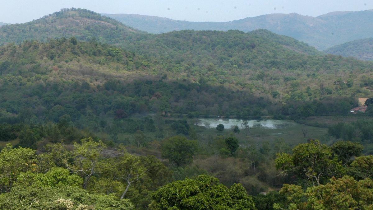 Forest areas encroached in 25 States, Union Territories; MP, Assam worst affected: Government report- JUNGLE TAK