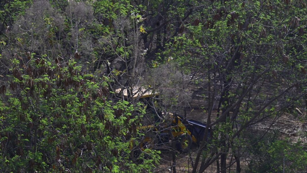 SC to hear matter related to tree felling in Hyderabad's Kancha Gachibowli forest on April 16 - JUNGLE TAK
