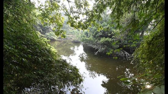 Action against wildlife crime, forest fire planned in U.P.- JUNGLE TAK