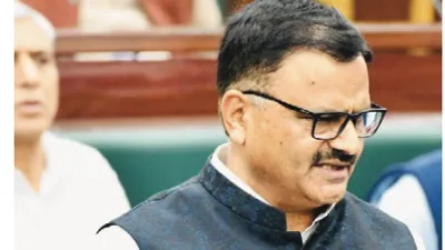 Over 300 projects receive forest clearance in J&K- JUNGLE TAK