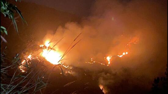 Forest fires affected one-ninth of Phawngpui National Park in Mizoram: Official- JUNGLE TAK