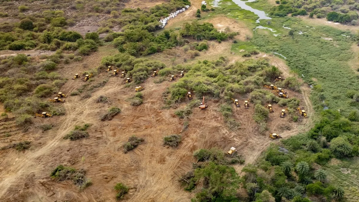 Birds howl in viral video as Telangana government razes 400 acres of forest in Hyderabad- JUNGLE TAK