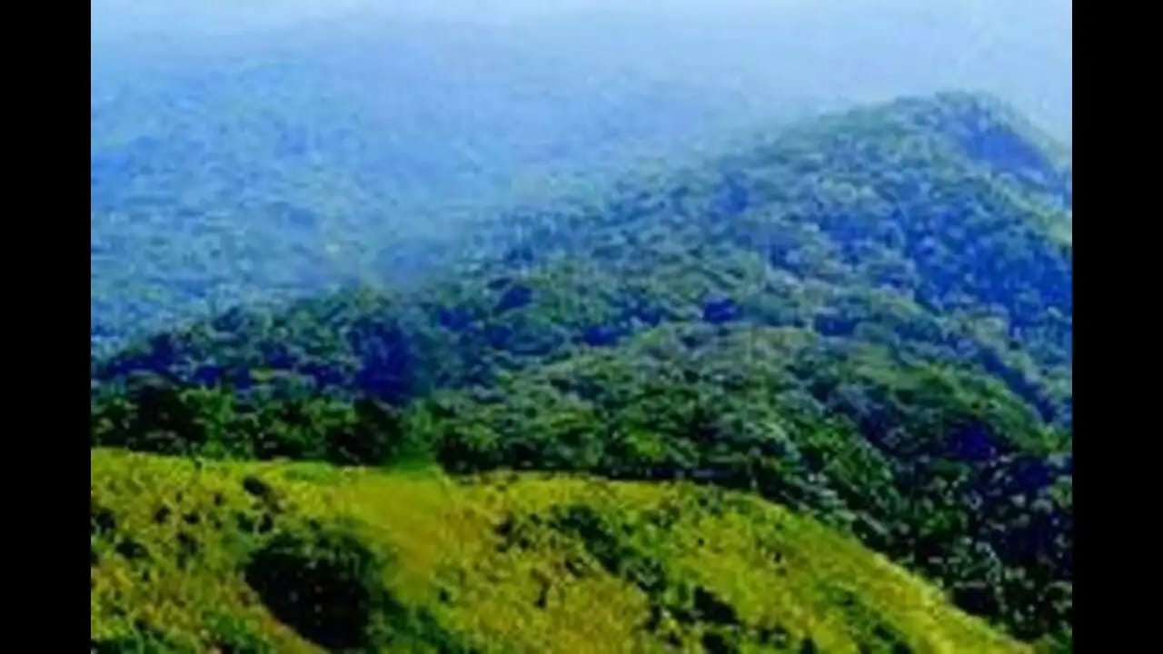 Supreme Court Declares Zudpi Jungles as Protected Forests: Landmark Ruling Boosts Conservation in Maharashtra- JUNGLE TAK