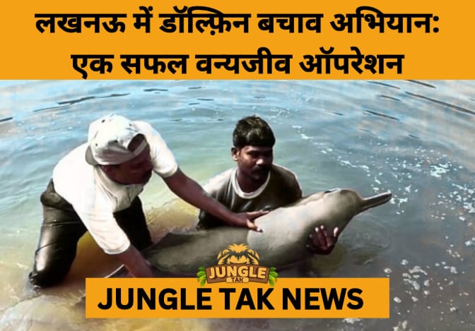 6 Gangetic River Dolphins Rescued from Barrage in Uttar Pradesh in Heroic Wildlife Operation- JUNGLE TAK