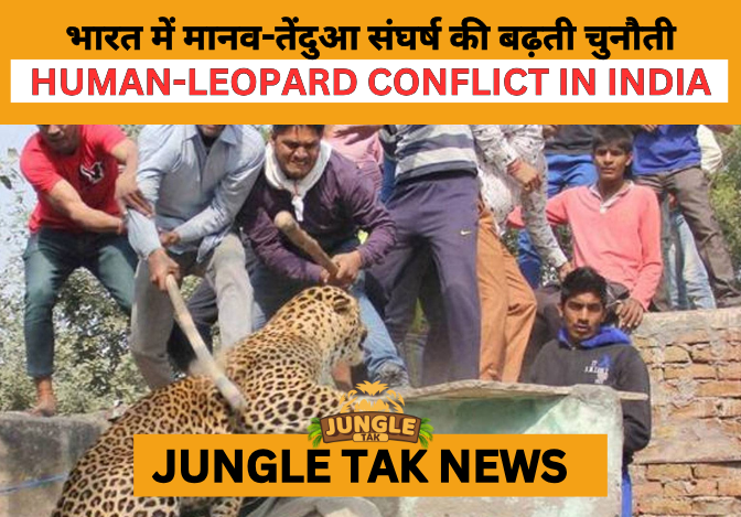 HUMAN LEOPARD CONFLICT,
