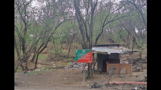 Supreme Court Orders Restoration of Pune Forest Land, Nullifies Illegal Allotment- JUNGLE TAK