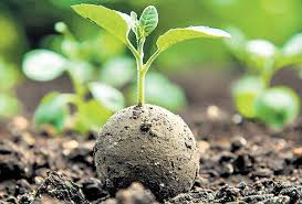 Kerala Launches First-Ever Large-Scale Seed Ball Campaign for Forest Restoration and Wildlife Support- JUNGLE TAK