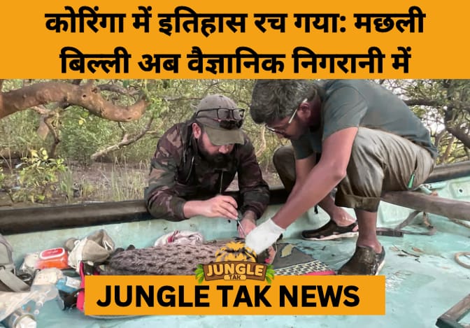 Fishing Cats Radio-Collared for First Time in Andhra Pradesh's Mangroves, Marking Milestone in Wildlife Research- JUNGLE TAK