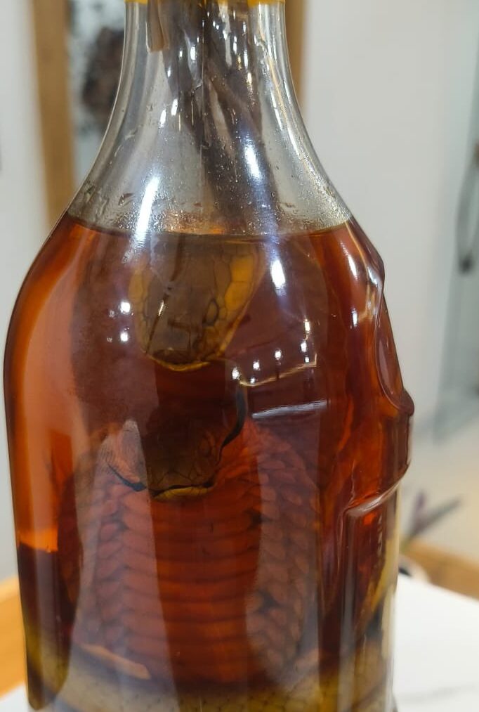 Snake remains preserved in a glass jar, seized in Jodhpur wildlife smuggling case