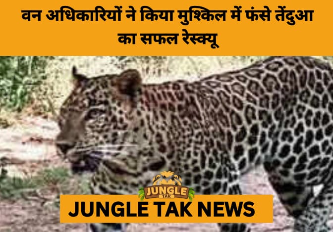 Leopard Rescued from Choking Near Kurnool Forest in Swift Forest Department Operation- JUNGLE TAK
