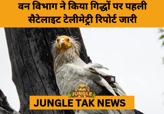 Uttarakhand Launches 1st Satellite Telemetry Study to Conserve Endangered Vultures- JUNGLE TAK