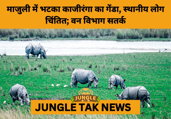 Kaziranga Rhino Strays into Majuli Villages, Forest Officials Monitor Movement Amid Public Concern- JUNGLE TAK