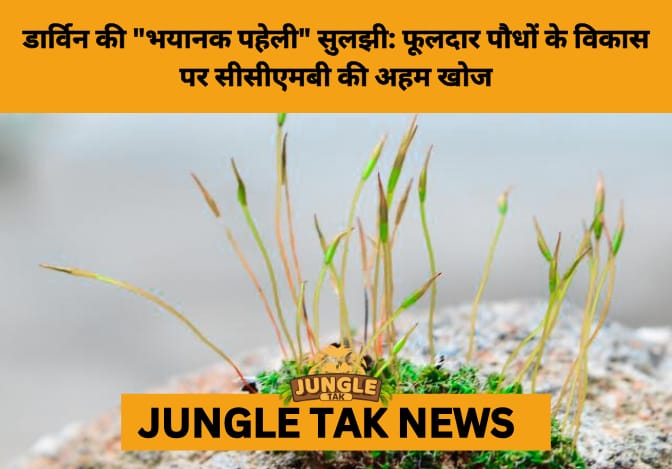 Hyderabad Scientists Crack 130-Million-Year-Old Evolutionary Puzzle- JUNGLE TAK