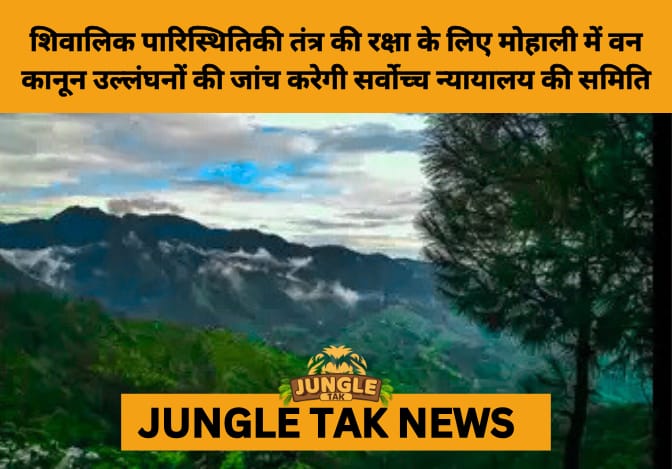 CEC Launches Probe into Illegal Encroachments and Ecological Violations in Shivalik Hills- JUNGLE TAK
