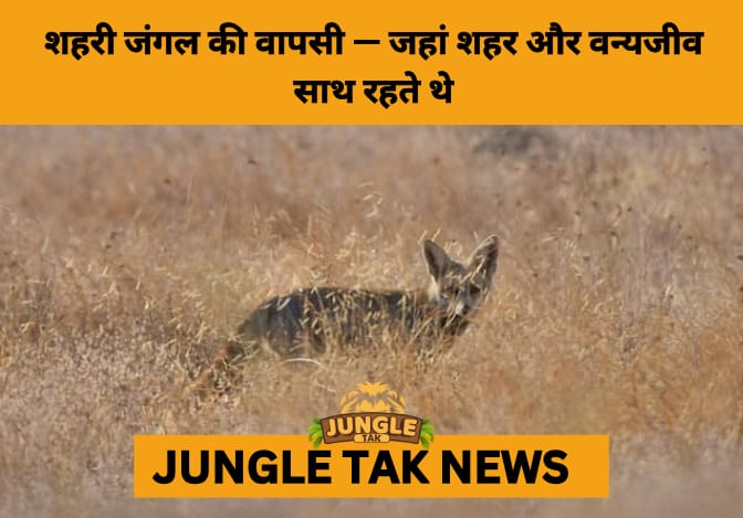 Where the Wild Once Lived: Rekindling Urban India's Forgotten Coexistence with Wildlife- JUNGLE TAK