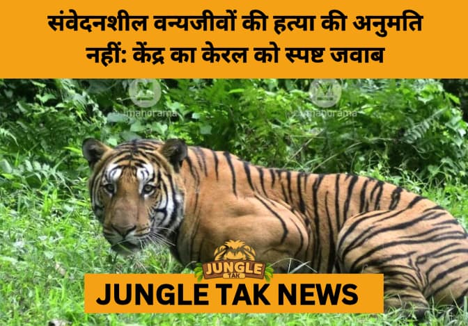 Centre Rejects Kerala’s Request for Mass Culling of Protected Wildlife, Emphasizes Legal & Ecological Safeguards- JUNGLE TAK