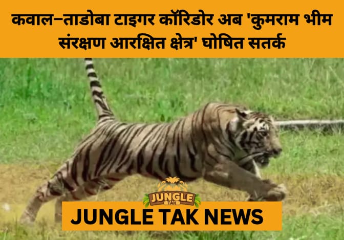 Telangana Declares Kumram Bheem Conservation Reserve to Safeguard Vital Tiger Corridor- JUNGLE TAK