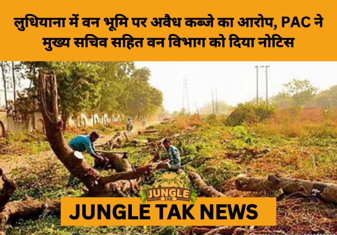 PAC Slams Forest Land Misuse in Ludhiana, Threatens NGT Action Over Rampant Violations- JUNGLE TAK