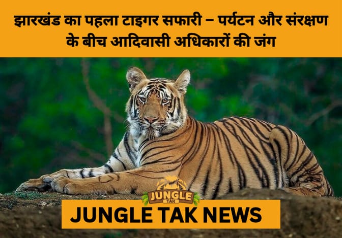 Jharkhand’s 1st Tiger Safari Planned Near Palamau Tiger Reserve Sparks Conservation vs. Community Rights Debate- JUNGLE TAK