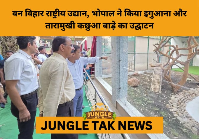 Van Vihar Unveils New Iguana and Star Tortoise Enclosures to Boost Wildlife Awareness and Eco-Tourism- JUNGLE TAK