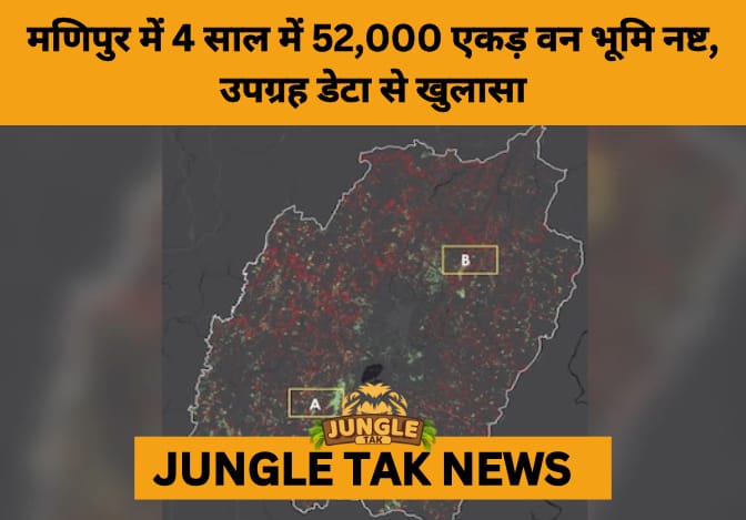 Manipur's Vanishing Forests: Over 52,000 Acres Lost Amid Illegal Logging and Poppy Cultivation- JUNGLE TAK