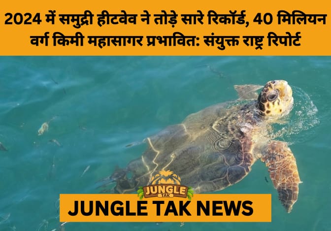 WMO Warns: Record Marine Heatwave Threatens Oceans, Glaciers, and Coastal Lives- JUNGLE TAK