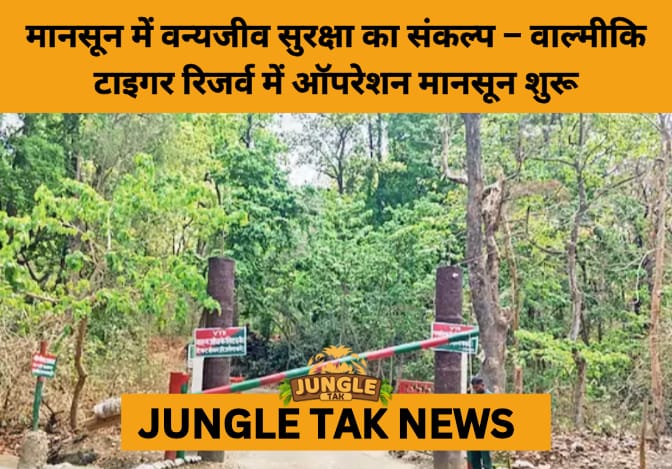 Operation Monsoon Launched in Valmiki Tiger Reserve to Safeguard Wildlife During Rainy Season- JUNGLE TAK