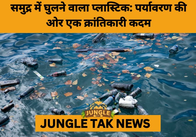 Breakthrough Bioplastic Dissolves in Seawater, Leaving No Trace- JUNGLE TAK