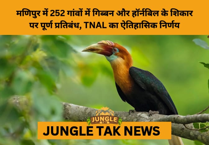 Manipur’s Indigenous Villages Unite to Protect Wildlife: Historic Ban on Gibbon and Hornbill Hunting- JUNGLE TAK