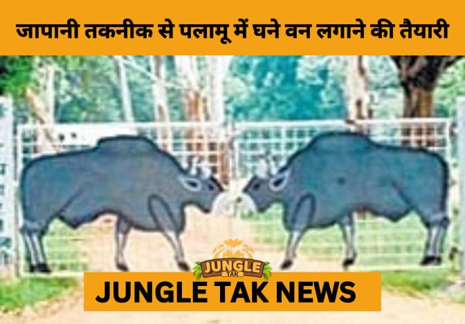 Palamu Tiger Reserve to Pioneer Bamboo Forest Using Miyawaki Technique- JUNGLE TAK