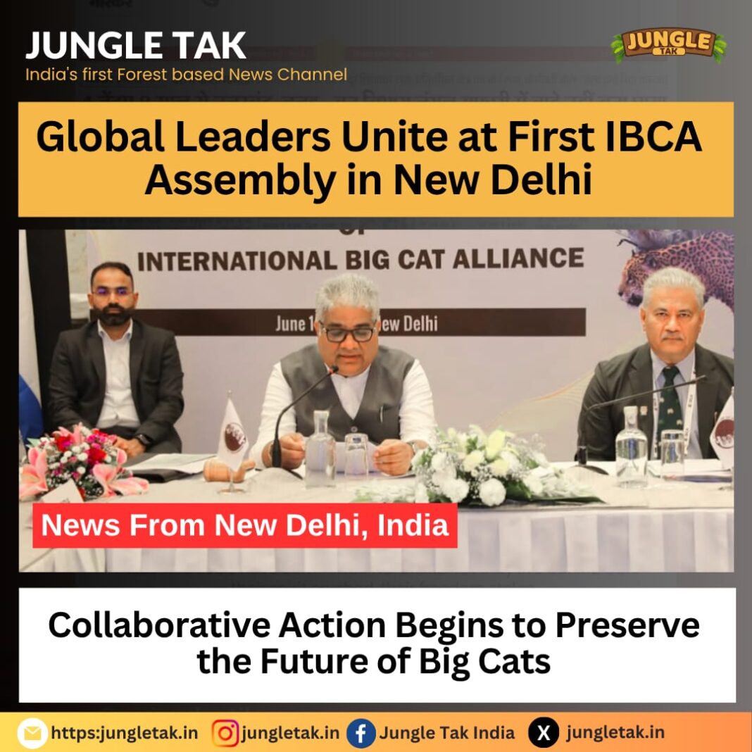 Historic First Assembly of International Big Cat Alliance Held in New Delhi, India- JUNGLE TAK