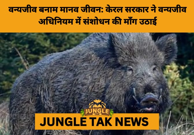 Kerala Proposes Wildlife Law Amendments Amid Surge in Human-Animal Conflicts: Balancing Safety and Conservation- JUNGLE TAK