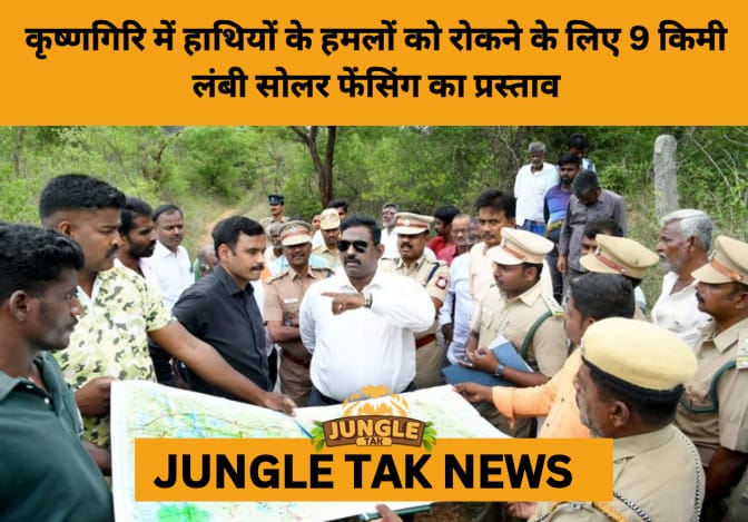 Tamil Nadu Plans 9-km Solar Fence to Tackle Rising Human-Elephant Conflict in Krishnagiri- JUNGLE TAK