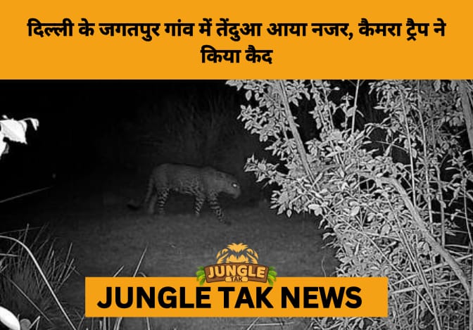 Leopard Spotted Near Yamuna Biodiversity Park: Rare Sighting Highlights Delhi’s Urban-Wildlife Interface- JUNGLE TAK
