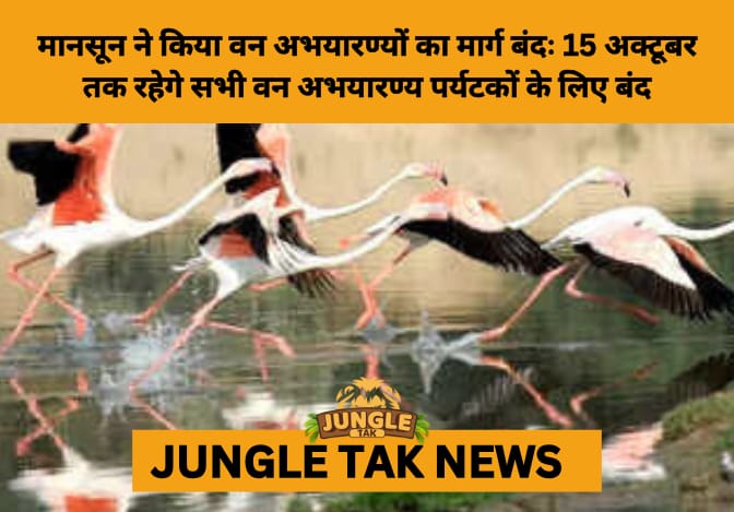 Gujarat Closes All Wildlife Sanctuaries and Parks for Monsoon Breeding Season- JUNGLE TAK
