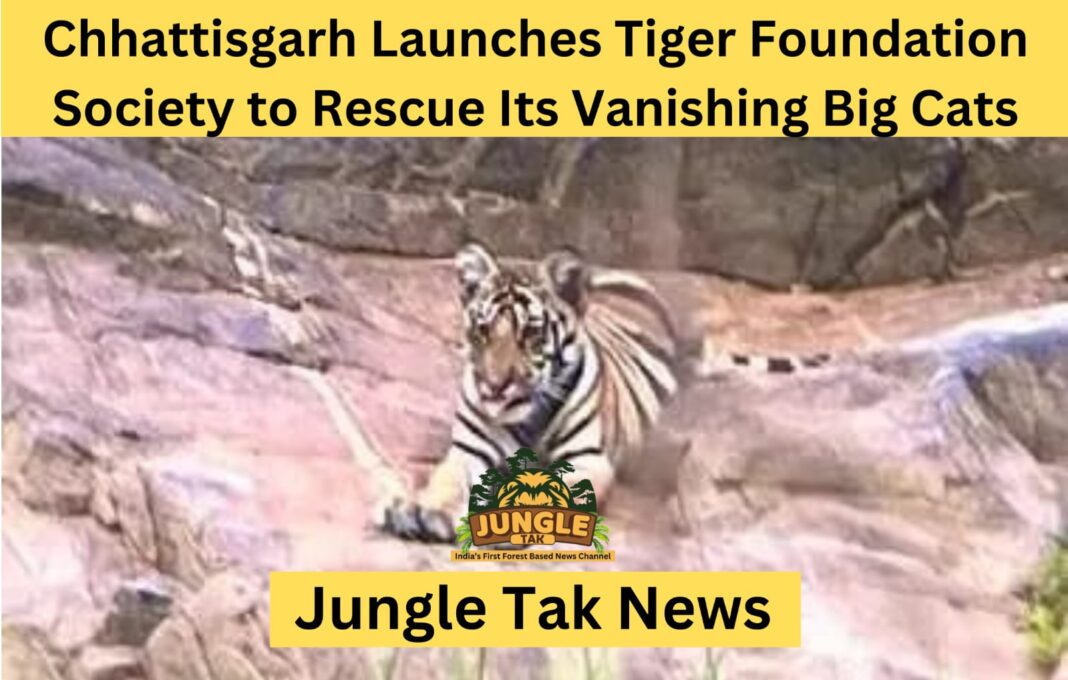 Chhattisgarh Launches Tiger Foundation Society to Rescue Its Vanishing Big Cats- JUNGLE TAK