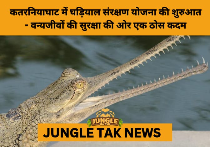 Gharial Conservation Boosted as Union Minister Launches National Programme at Katarniaghat Wildlife Sanctuary- JUNGLE TAK