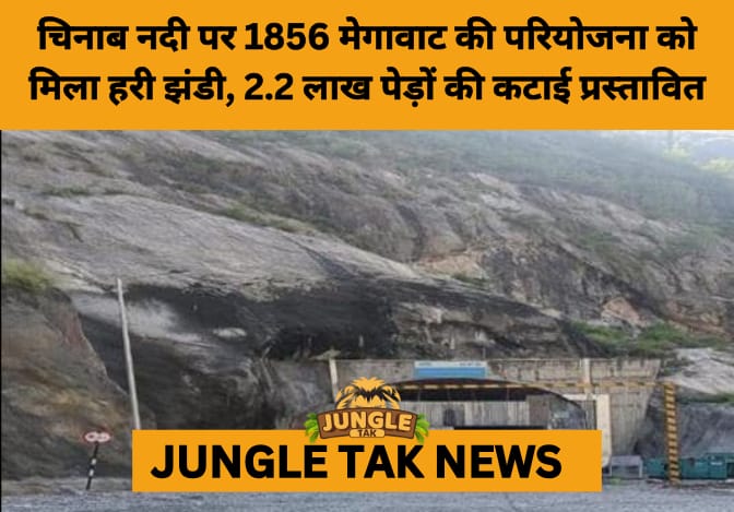 Strategic Push: J&K Forest Land Cleared for 1856 MW Sawalkot Hydropower Project- JUNGLE TAK