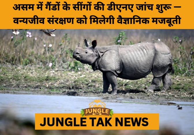 Assam Launches Genetic Analysis of Rhino Horns to Combat Wildlife Crime and Aid Conservation- JUNGLE TAK