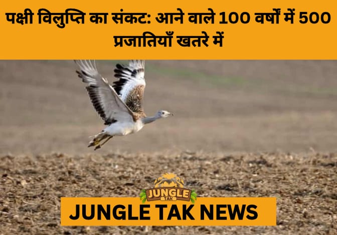 Half a Thousand Bird Species Face Extinction: Scientists Warn of Global Avian Crisis- JUNGLE TAK