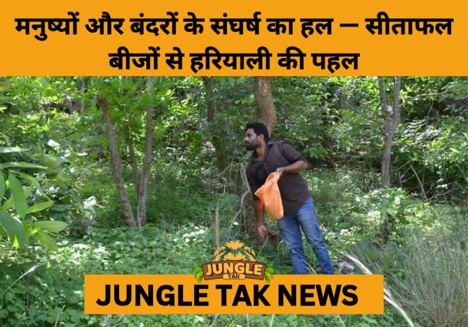 Telangana Green Hero Prakash Disperses 48 Kg Custard Apple Seeds to Tackle Monkey Conflict and Boost Forest Cover- JUNGLE TAK